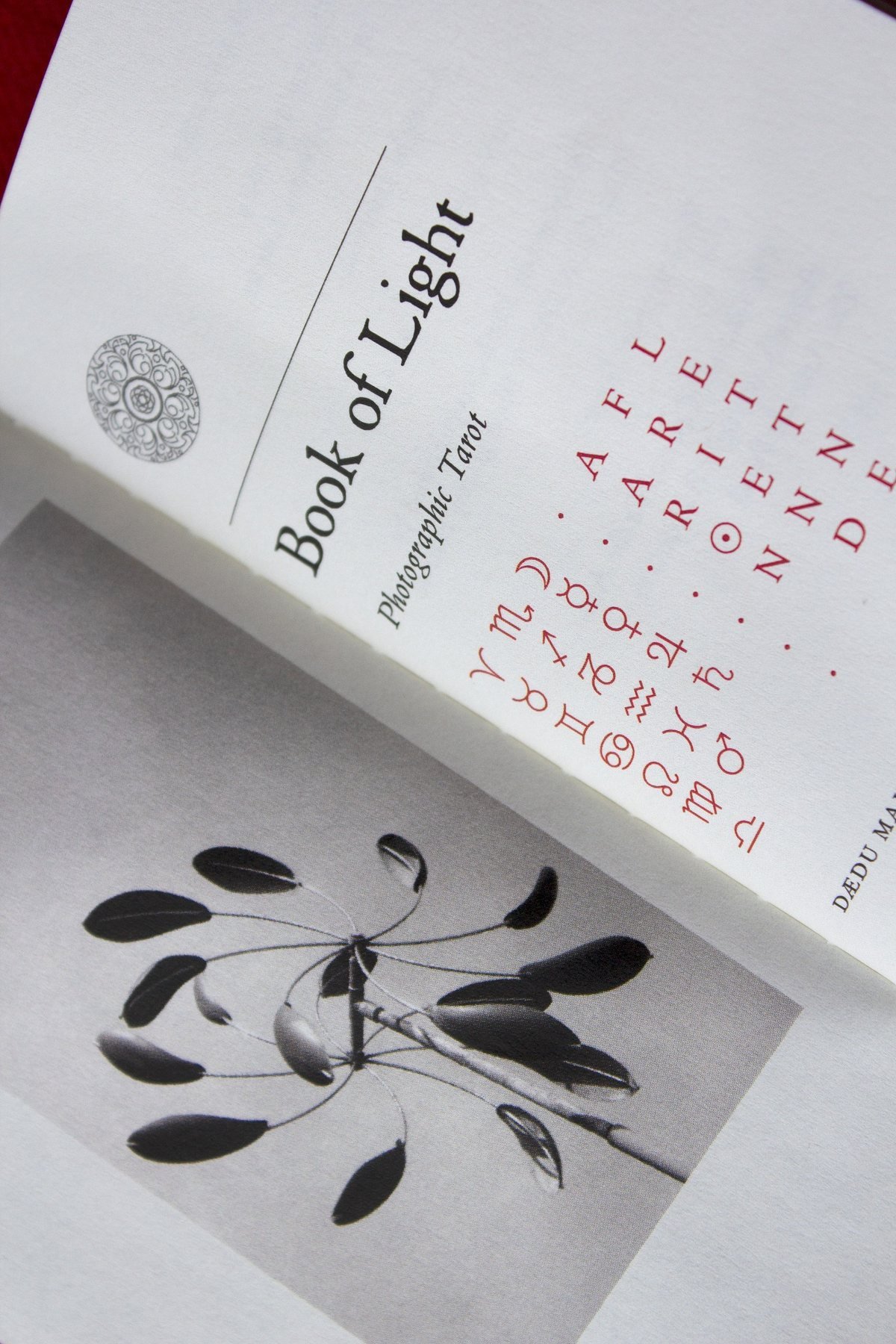 Close-up of the Book of Light Photographic Tarot publication showing its title page and black-and-white photograph.