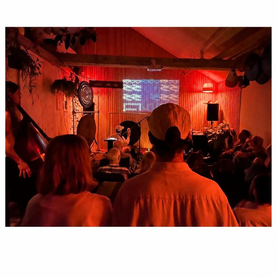 Audience gathered inside a red-lit Imaginal Airlines performance at Hypha Arts